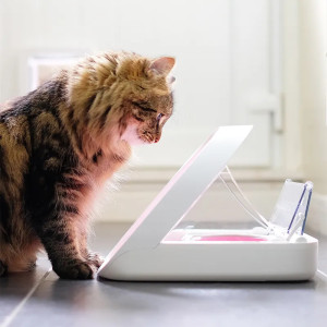 Cat Mate C500 Automatic 5 Meal Pet Feeder with Digital Timer
