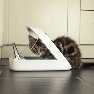 Cat Mate C500 Automatic 5 Meal Pet Feeder with Digital Timer