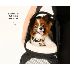 Away Pet Carrier Airline Approved Travel Carrier for Cats & Small Dogs