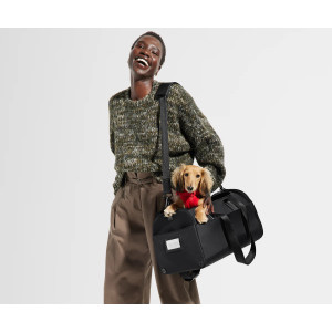 Away Pet Carrier Airline Approved Travel Carrier for Cats & Small Dogs