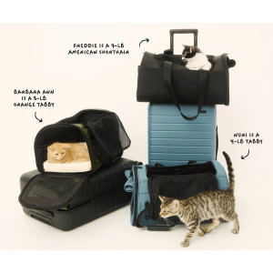 Away Pet Carrier Airline Approved Travel Carrier for Cats & Small Dogs