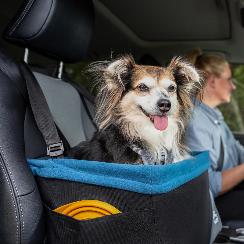 Kurgo Rover Dog Booster Car Seat for Small & Large Dogs
